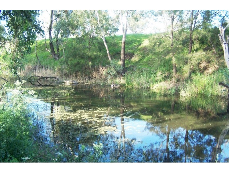 Warwick QLD 4370