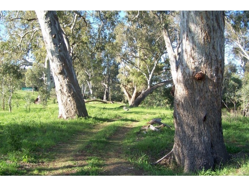 Warwick QLD 4370