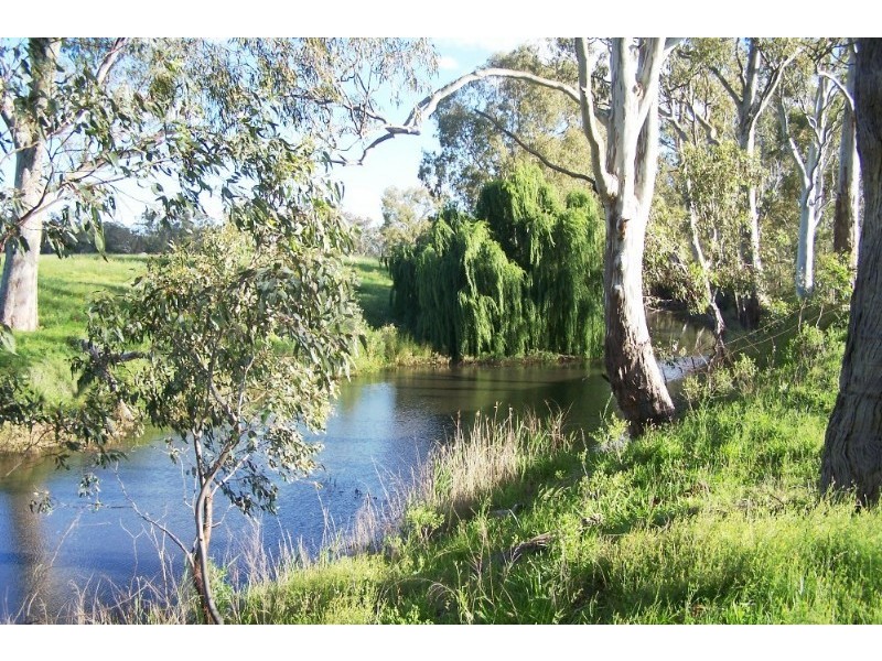 Warwick QLD 4370