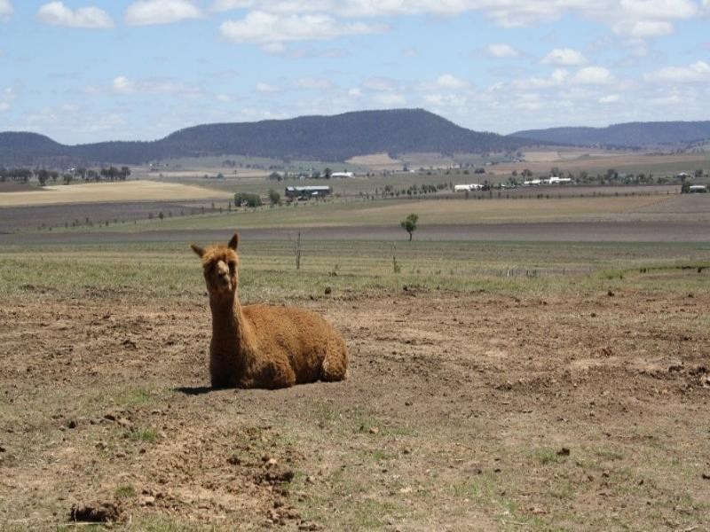 Warwick QLD 4370