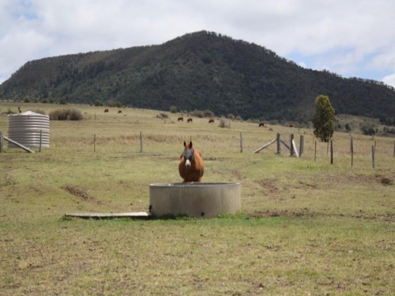 Warwick QLD 4370