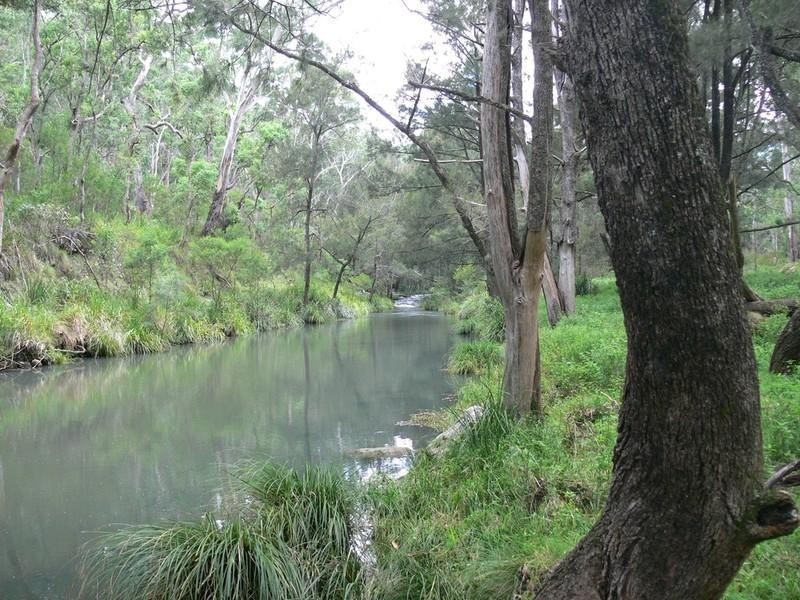 Warwick QLD 4370