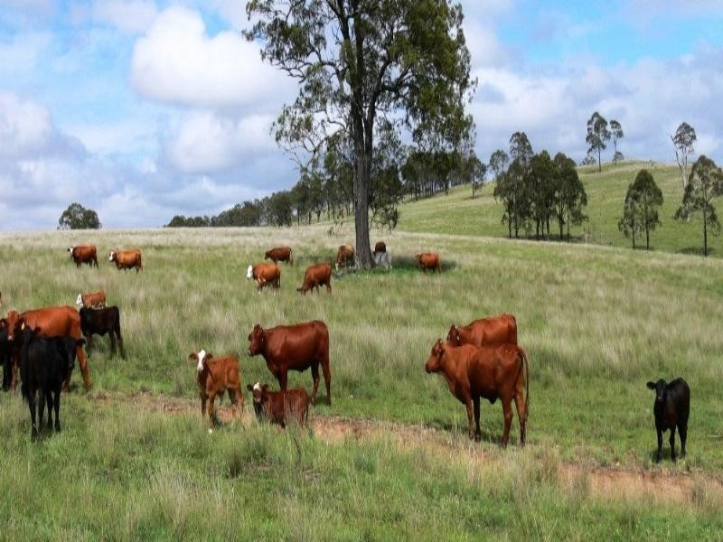 549 New Koreelah Road, Killarney QLD 4373