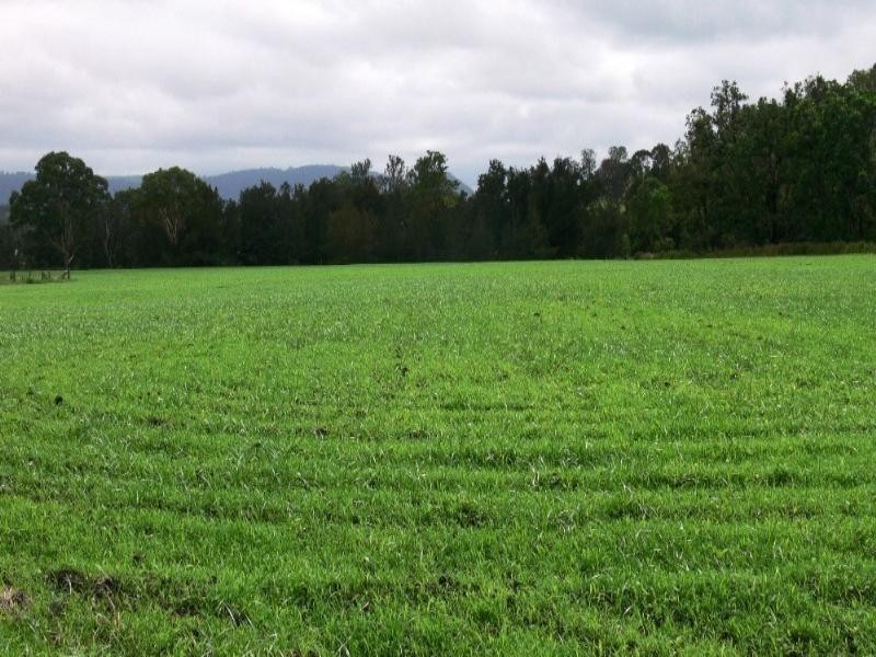 549 New Koreelah Road, Killarney QLD 4373