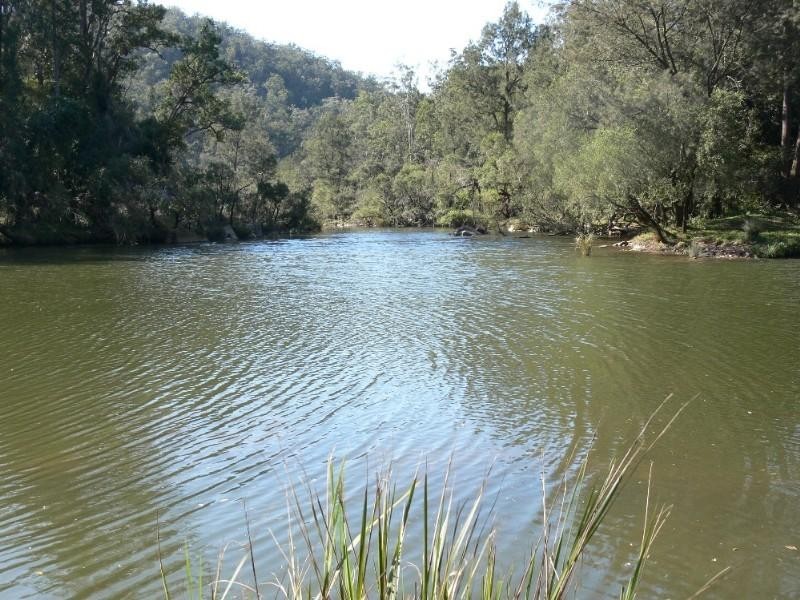 3413 Paddys Flat Road, Paddys Flat NSW 2469