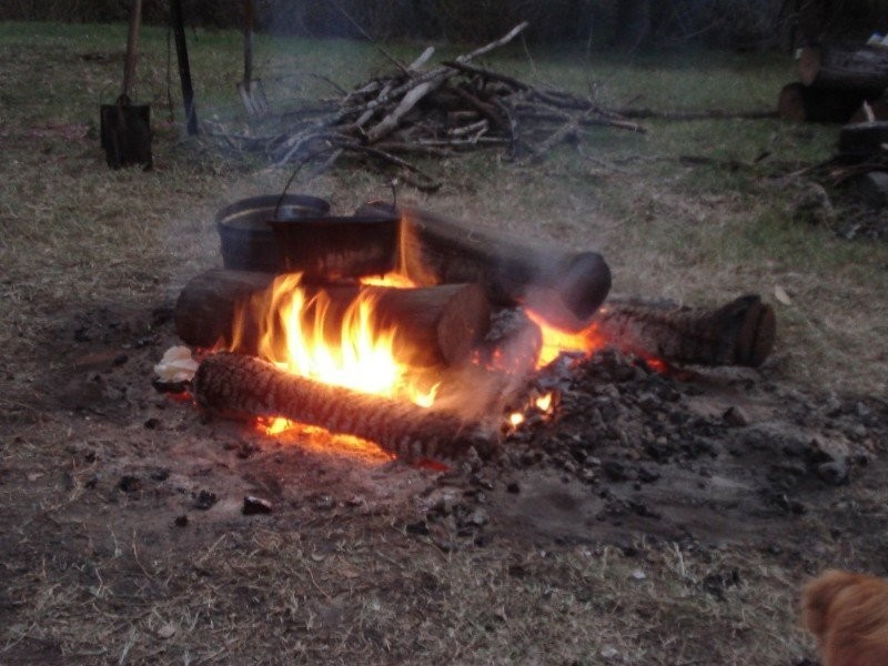 3413 Paddys Flat Road, Paddys Flat NSW 2469