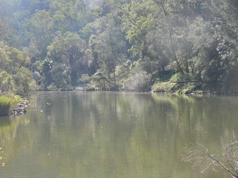 3413 Paddys Flat Road, Paddys Flat NSW 2469