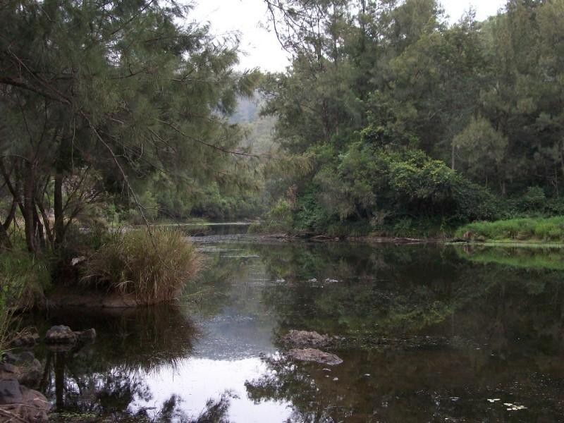 3413 Paddys Flat Road, Paddys Flat NSW 2469