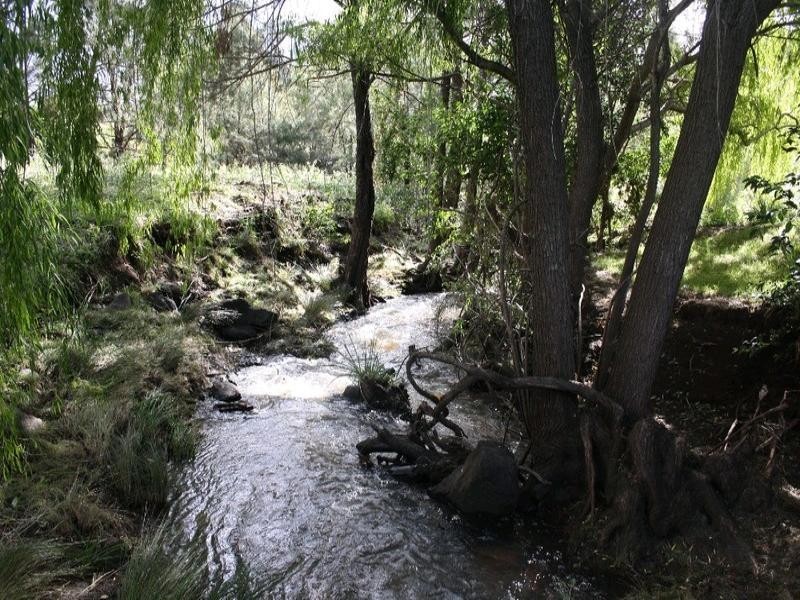 264 Cunningham Highway, Maryvale QLD 4370