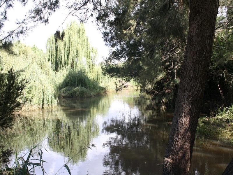 264 Cunningham Highway, Maryvale QLD 4370