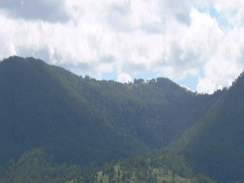 Lot 143 Condamine River Road, Killarney QLD 4373