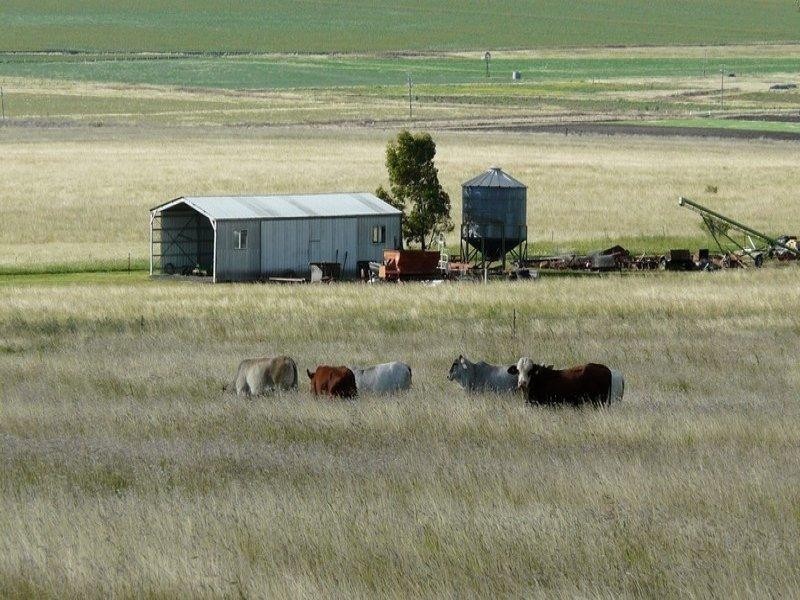 61 Perquins Road, Warwick QLD 4370