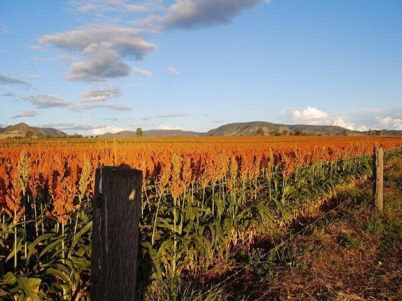 208 Markeys Lane, Yangan QLD 4371