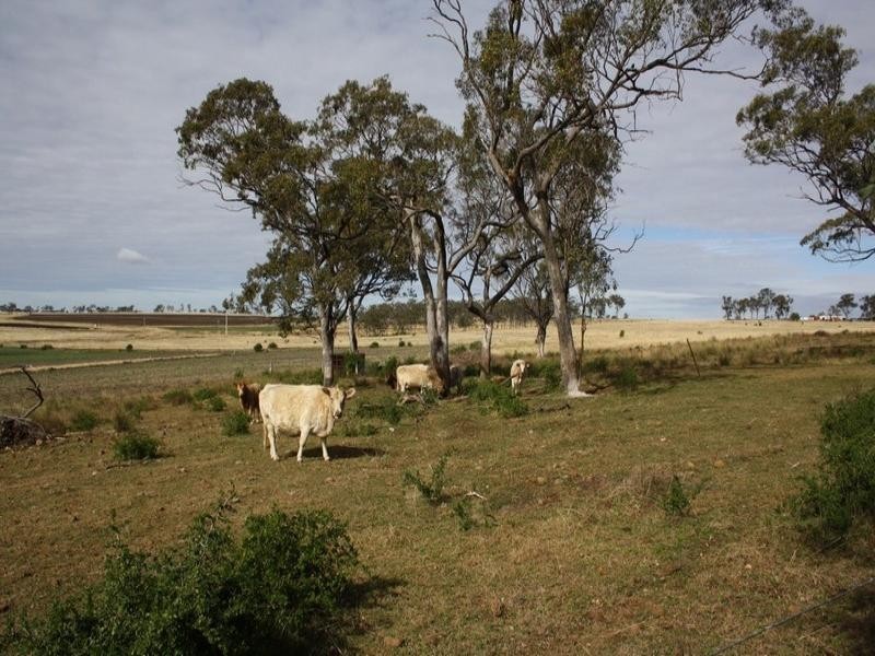 56 Donegans Road, Allora QLD 4362