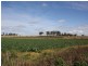 56 Donegans Road, Allora QLD 4362