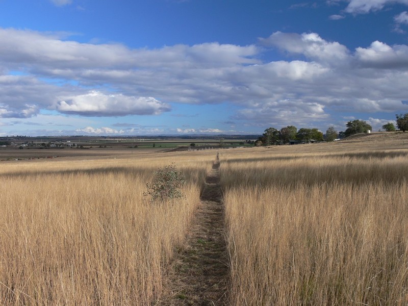 38 Elphinstone Road, Allora QLD 4362