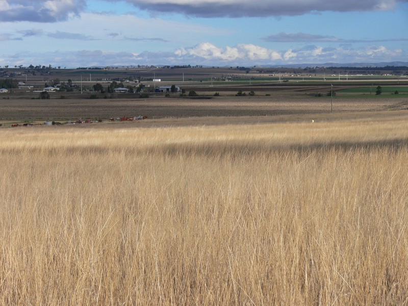 38 Elphinstone Road, Allora QLD 4362