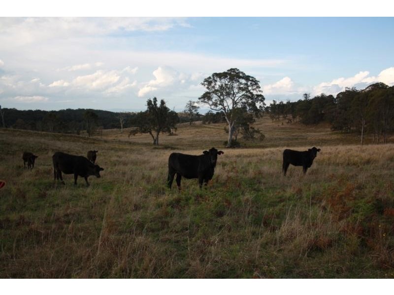 168 Cullendore Creek Road, Cullendore NSW 2372