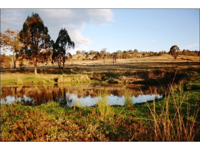 168 Cullendore Creek Road, Cullendore NSW 2372