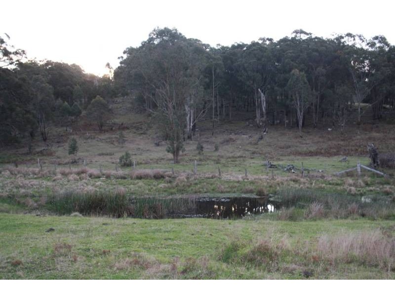 168 Cullendore Creek Road, Cullendore NSW 2372