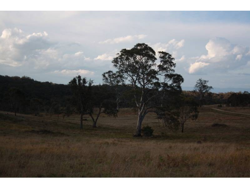 168 Cullendore Creek Road, Cullendore NSW 2372