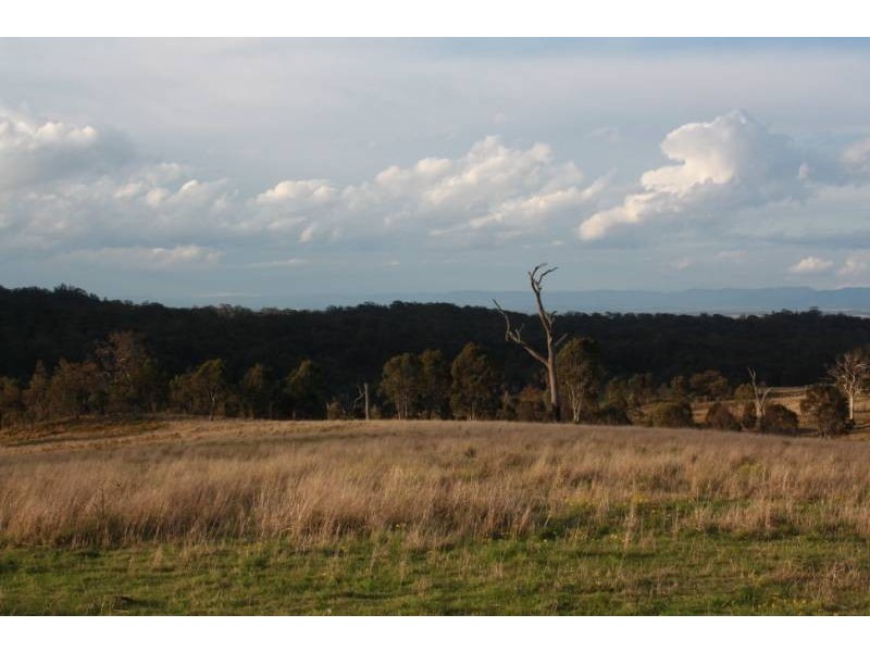 168 Cullendore Creek Road, Cullendore NSW 2372