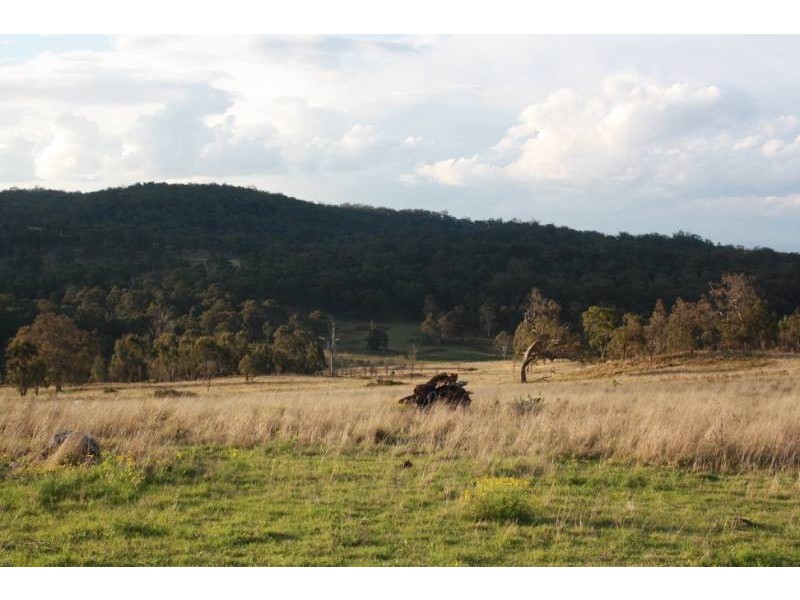 168 Cullendore Creek Road, Cullendore NSW 2372