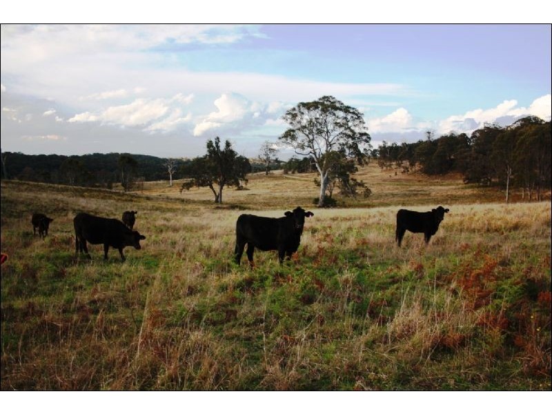 168 Cullendore Creek Road, Cullendore NSW 2372