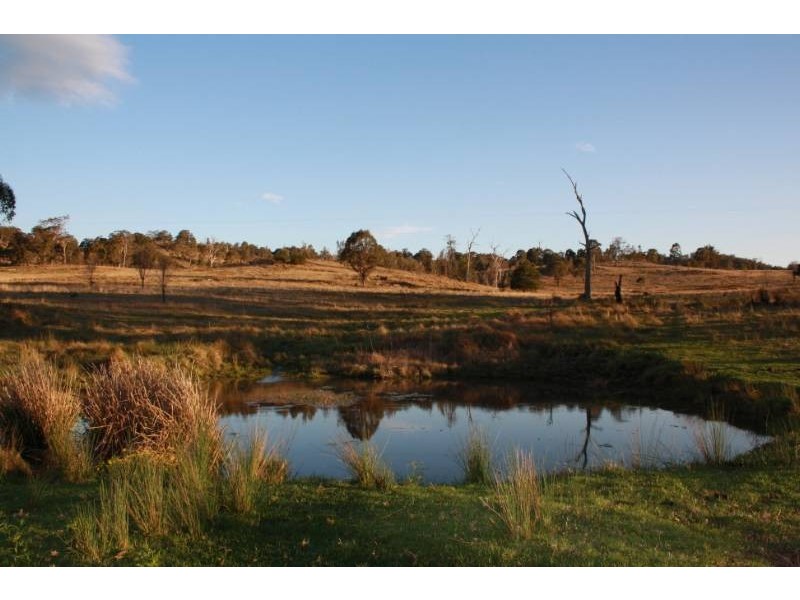 168 Cullendore Creek Road, Cullendore NSW 2372