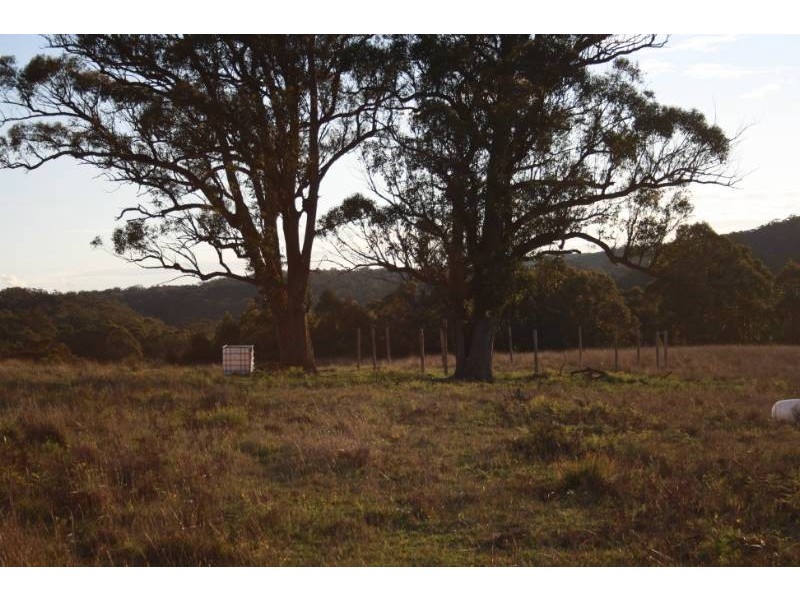 168 Cullendore Creek Road, Cullendore NSW 2372