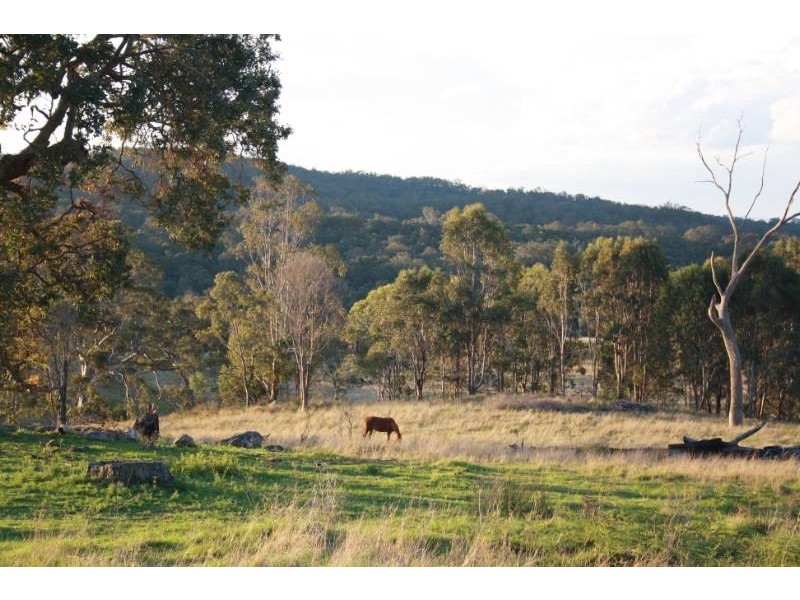 168 Cullendore Creek Road, Cullendore NSW 2372