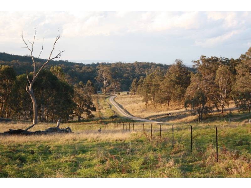 168 Cullendore Creek Road, Cullendore NSW 2372