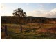 168 Cullendore Creek Road, Cullendore NSW 2372