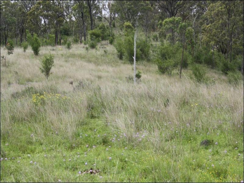 0 Kings Road, Warwick QLD 4370