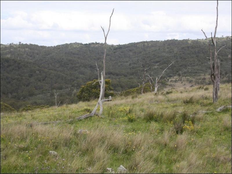 1 Kings Road, Warwick QLD 4370