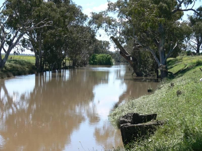 Junabee QLD 4370