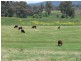 Junabee QLD 4370