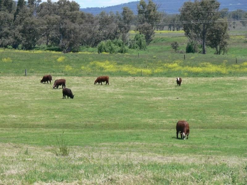 Junabee QLD 4370