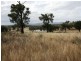 5789 Texas Road, Glenlyon QLD 4380
