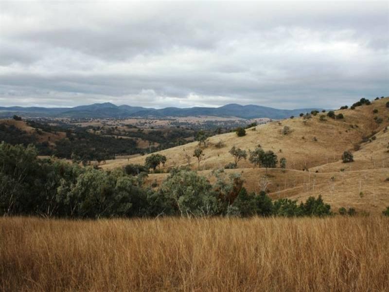 5789 Texas Road, Glenlyon QLD 4380