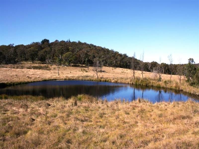 349 Rangeview Road, Dalveen QLD 4374