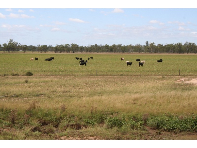 0 Schwarten Road, Millmerran QLD 4357