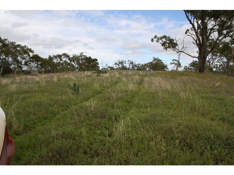 Warwick QLD 4370