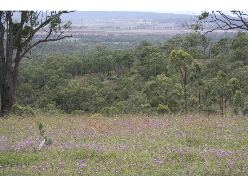 Warwick QLD 4370