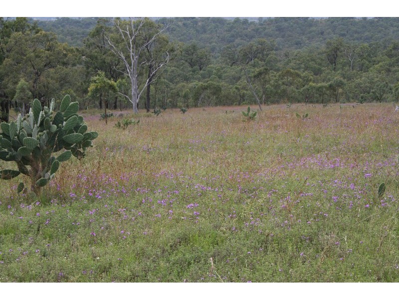 Warwick QLD 4370