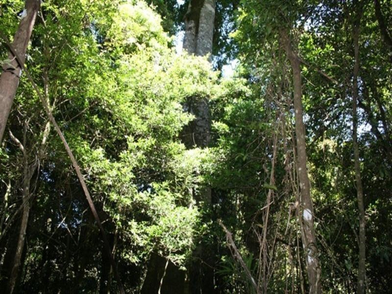 0 Gambubal Road, Mount Colliery QLD 4370