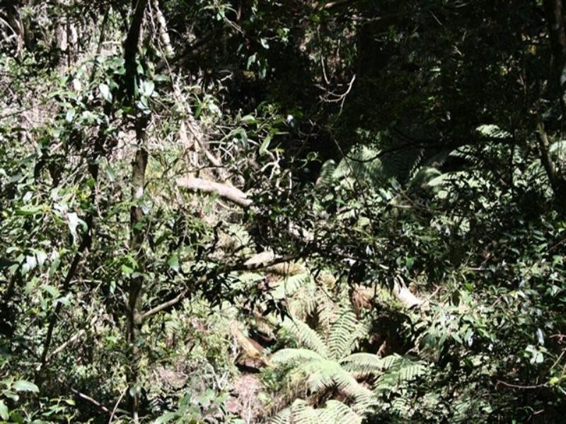 0 Gambubal Road, Mount Colliery QLD 4370