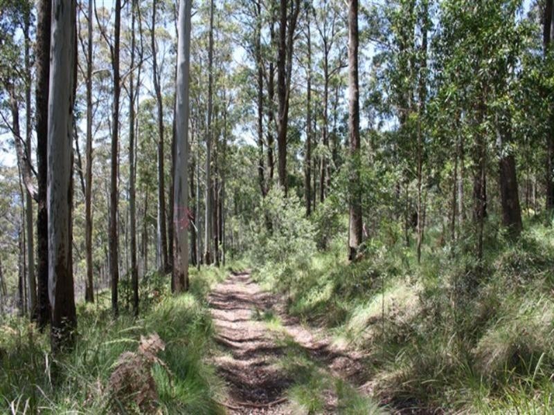 0 Gambubal Road, Mount Colliery QLD 4370