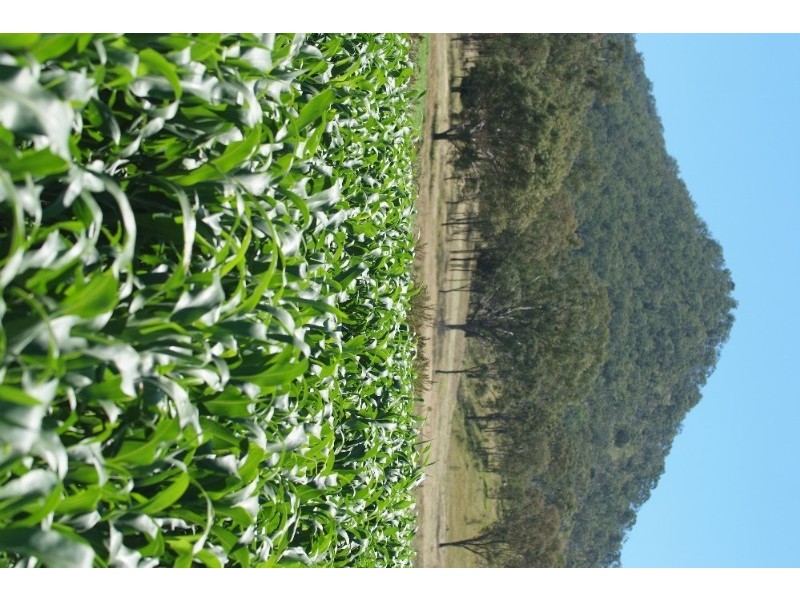 9 Bourkes Road, Warwick QLD 4370