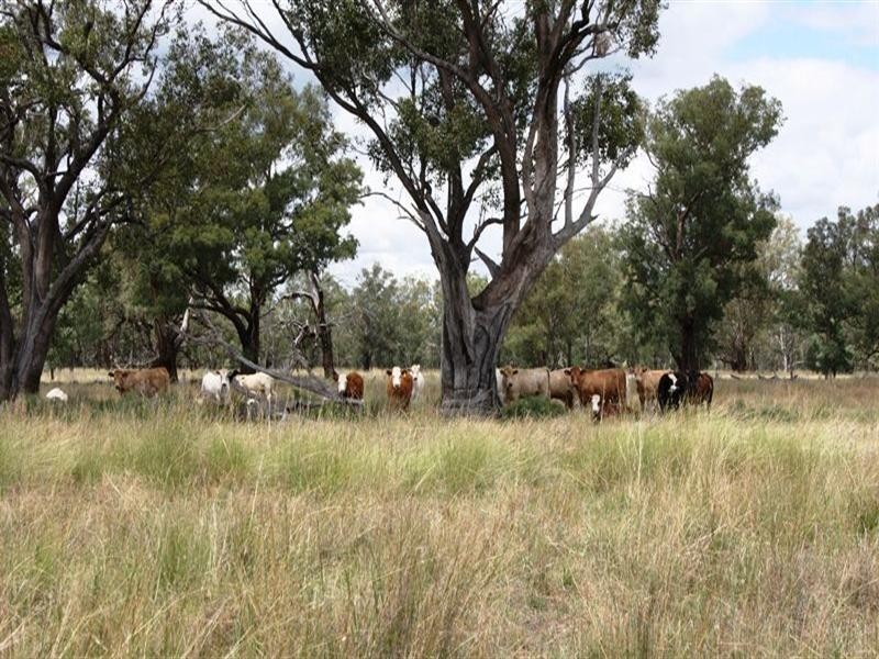 0 Raleigh Road, Silver Spur QLD 4385